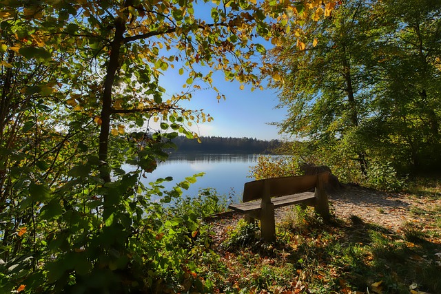 吴宇夺得亚冬会速度滑冰男子5000米金牌央视体育.